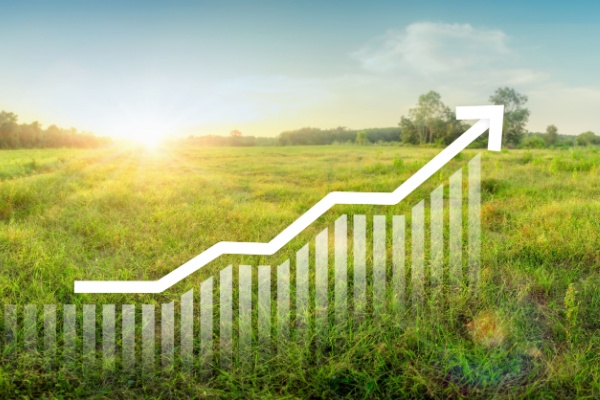 Taxe sur la cession à titre onéreux d’un terrain nu devenu constructible : du nouveau pour 2025 !